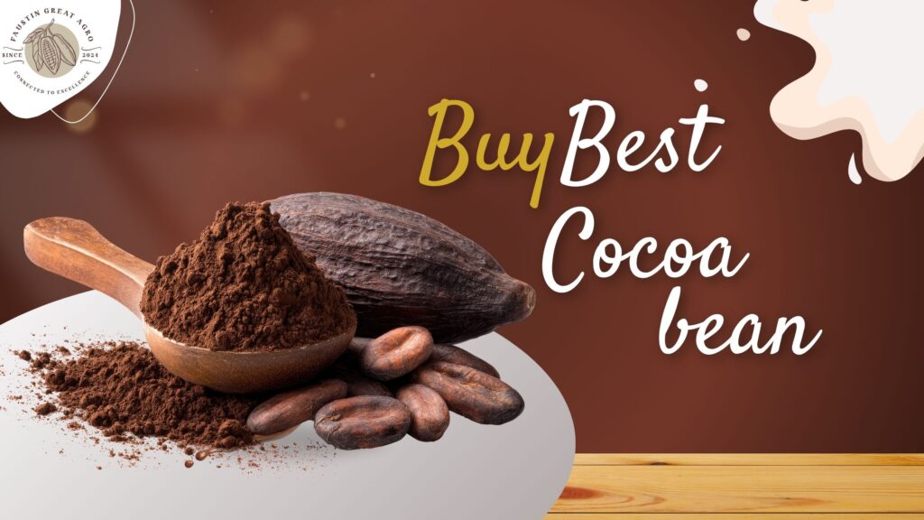 Buy Best Cocoa Bean