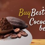 Buy Best Cocoa Bean