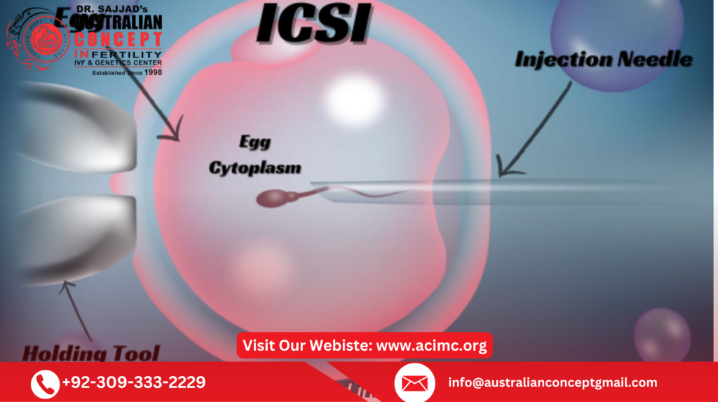 ICSI Procedure