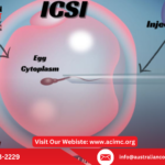 ICSI Procedure