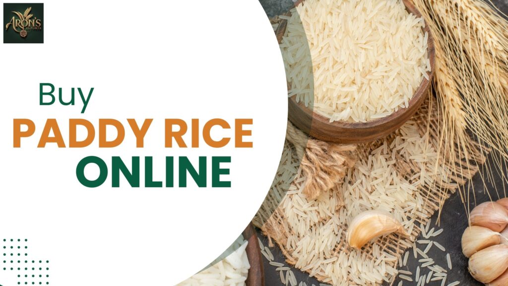 buy paddy rice online