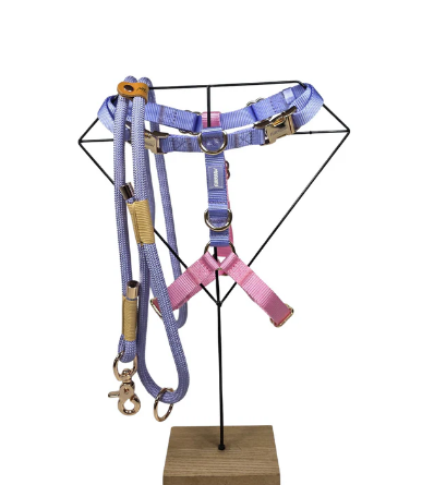 Bundel Hond Accessoires