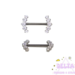 Piercing Tétons Titane