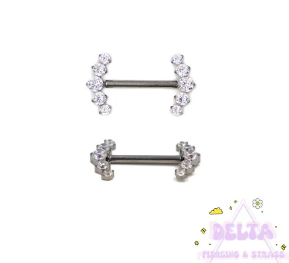 Piercing Tétons Titane