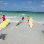 American Lifeguard Training