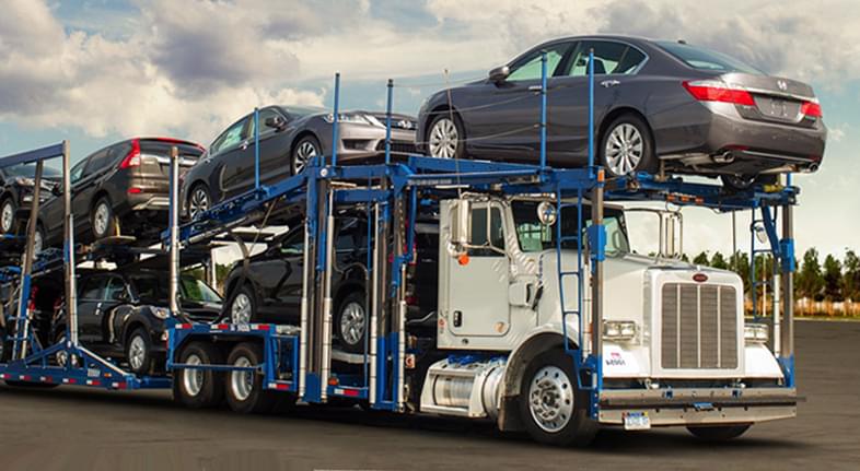 auto transport florida to ny