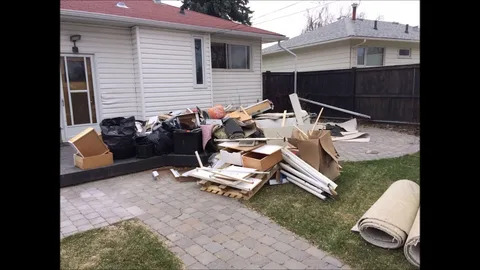 junk removal service