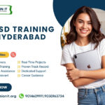 sap sd training in hyderabad versionit